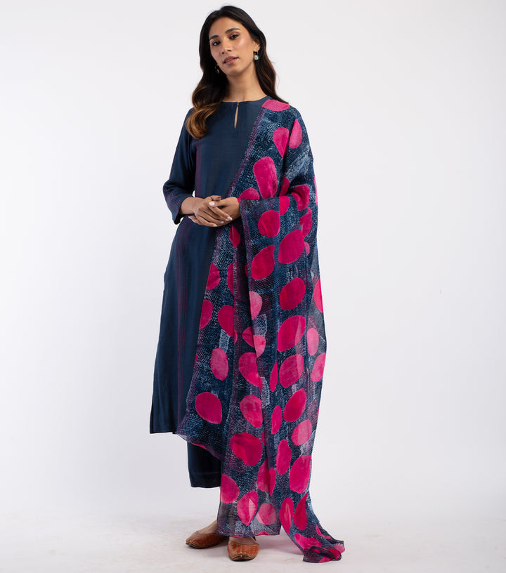 Pink & Navy Printed Organza Dupatta