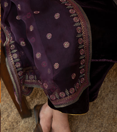 Plum Hand Embroidered Velvet Suit Set