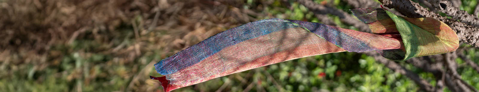 SHIBORI STORIES
