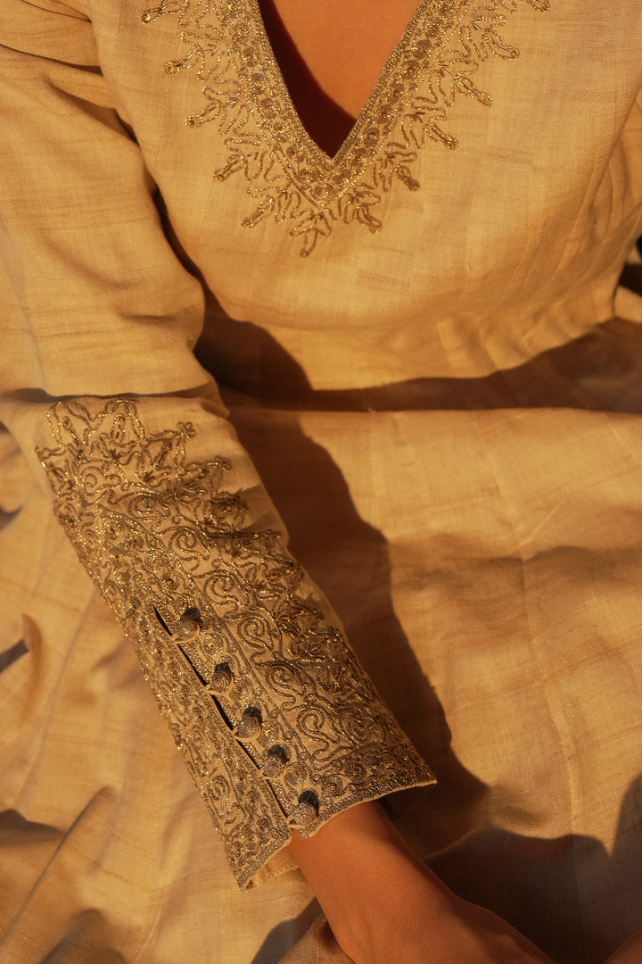 Beige Hand Embroidered Tussar Silk Gown