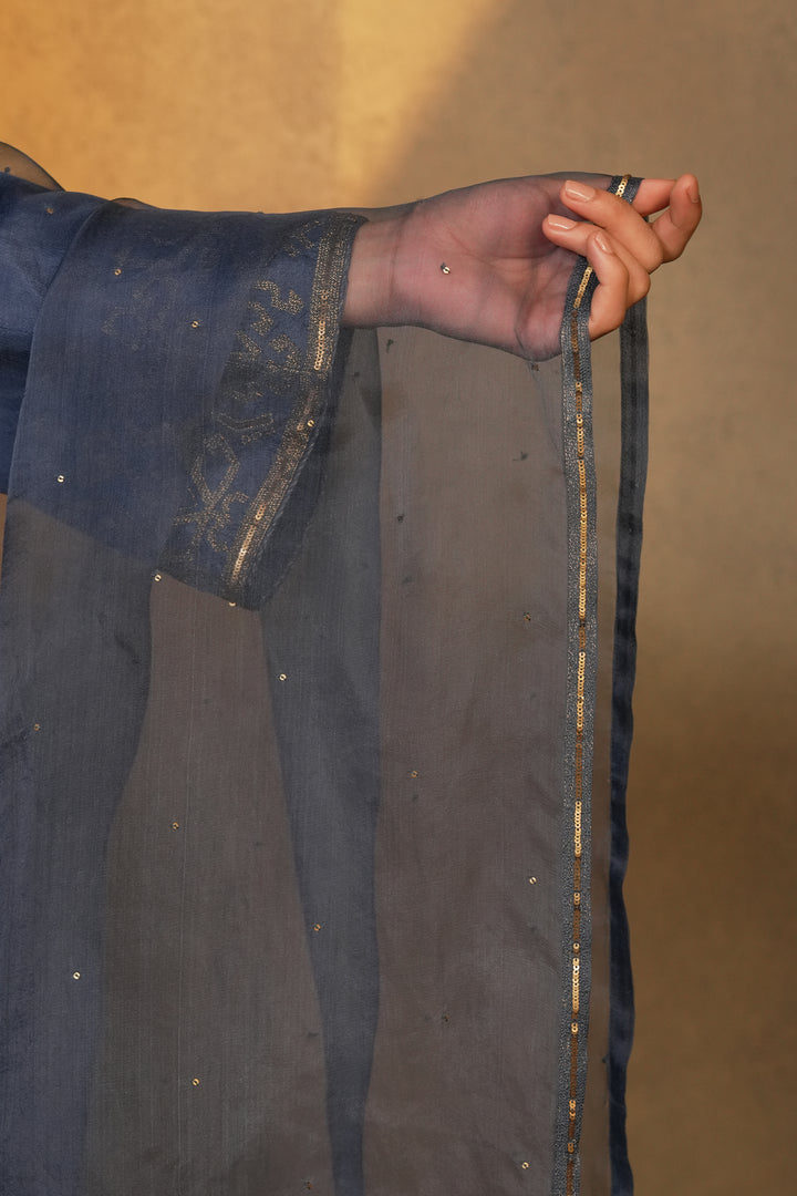 Blue Hand Embroidered Organza Dupatta
