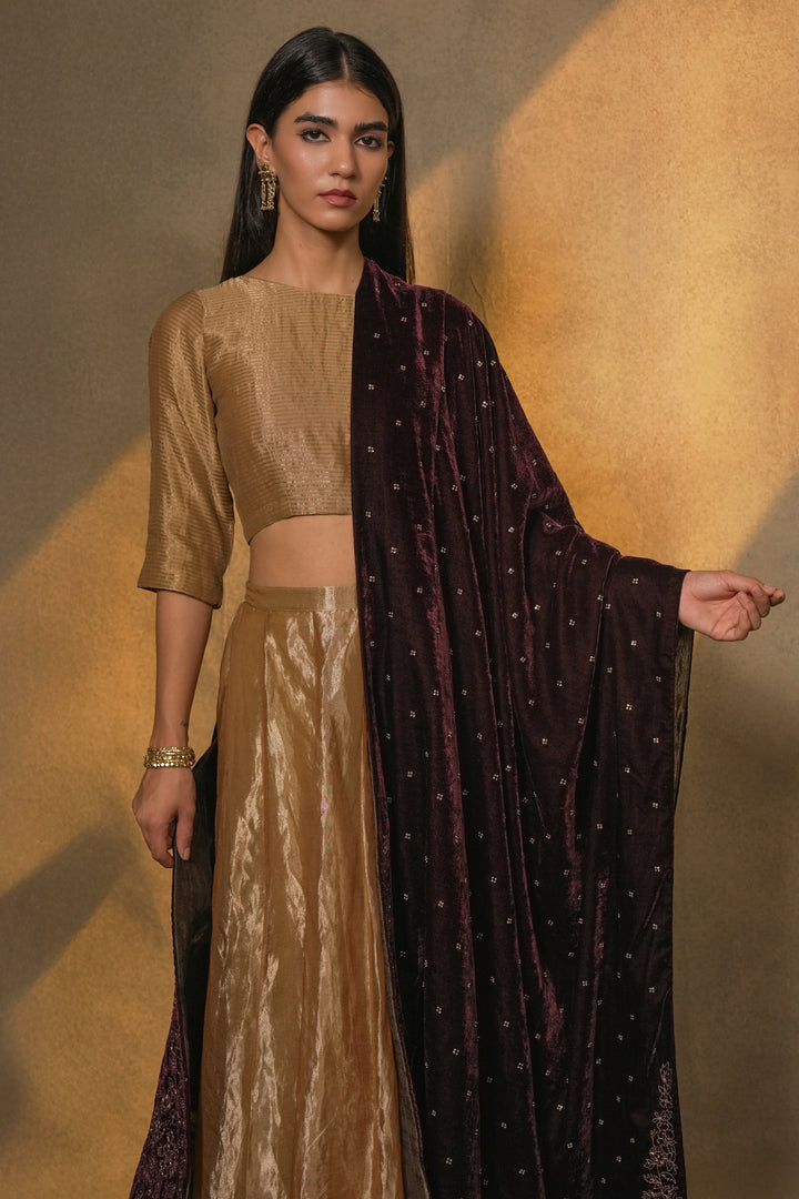 Plum Hand Embroidered Velvet Dupatta