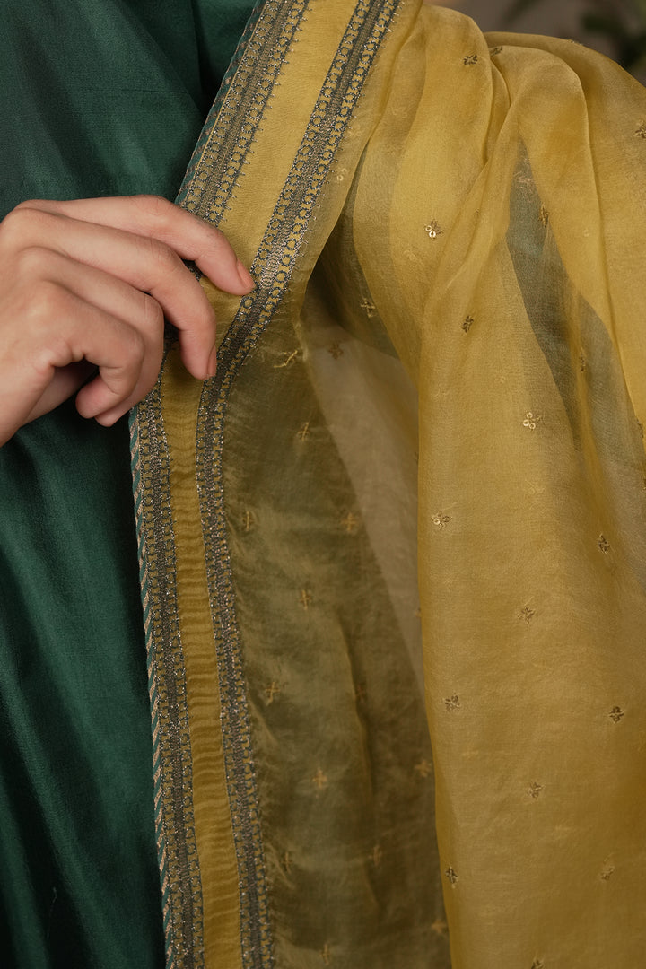 Lime Yellow Hand Embroidered Organza Dupatta