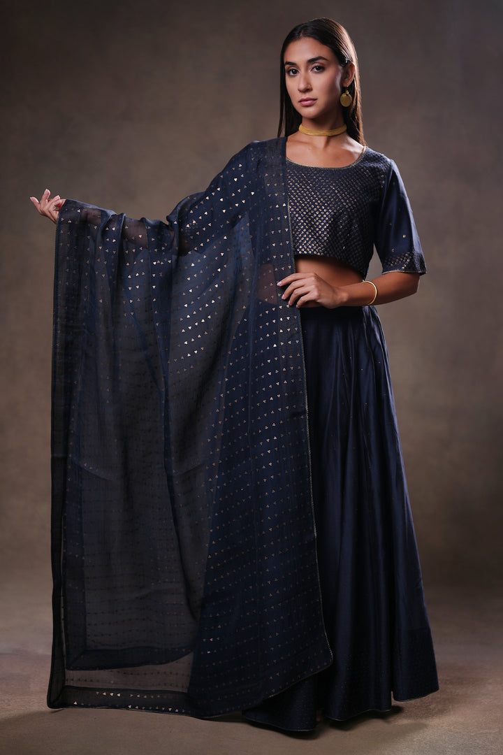 Navy Hand Embroidered Chanderi Lehenga Set with Blouse & Dupatta