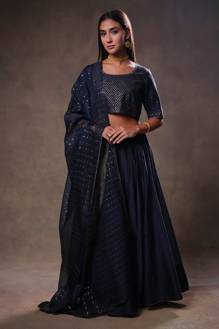 Navy Hand Embroidered Chanderi Lehenga Set with Blouse & Dupatta