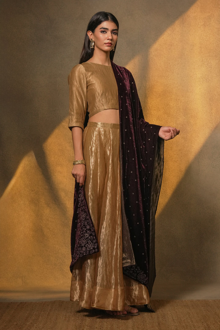 Plum Hand Embroidered Velvet Dupatta