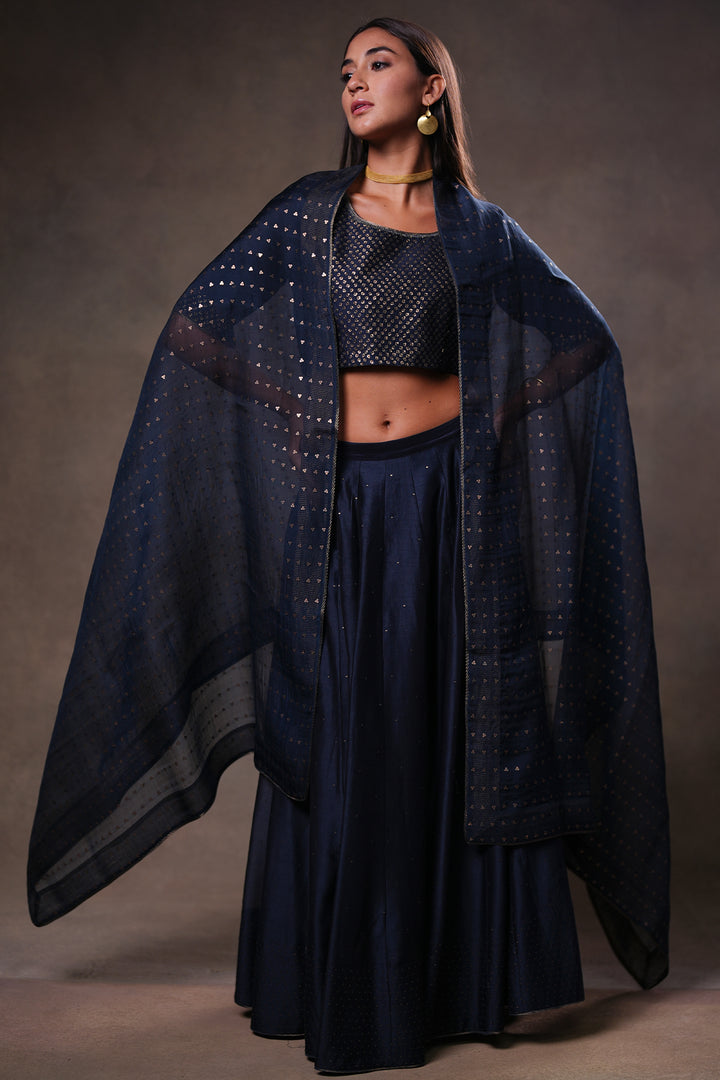 Navy Hand Embroidered Chanderi Lehenga Set with Blouse & Dupatta