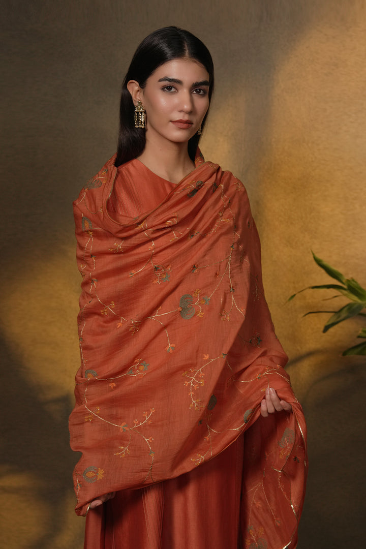 Rust Hand Embroidered Chanderi Dupatta