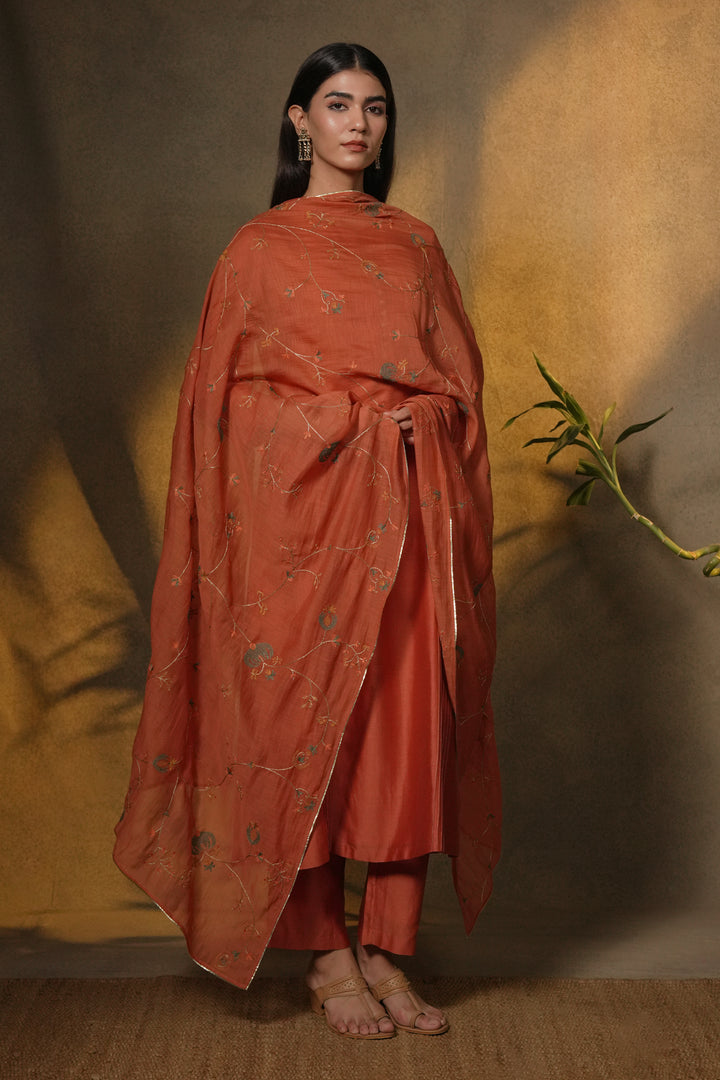 Rust Hand Embroidered Chanderi Dupatta