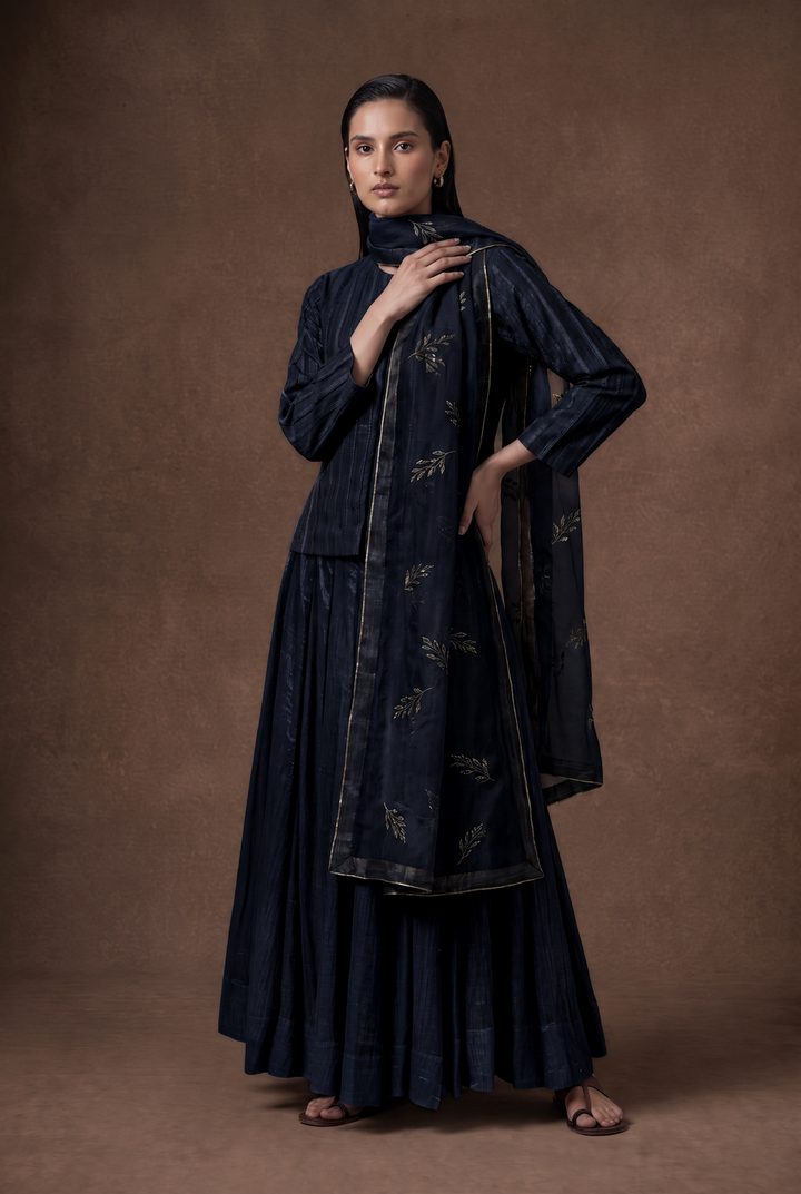 Navy Noor Hand-Embroidered Tissue Lehenga Set