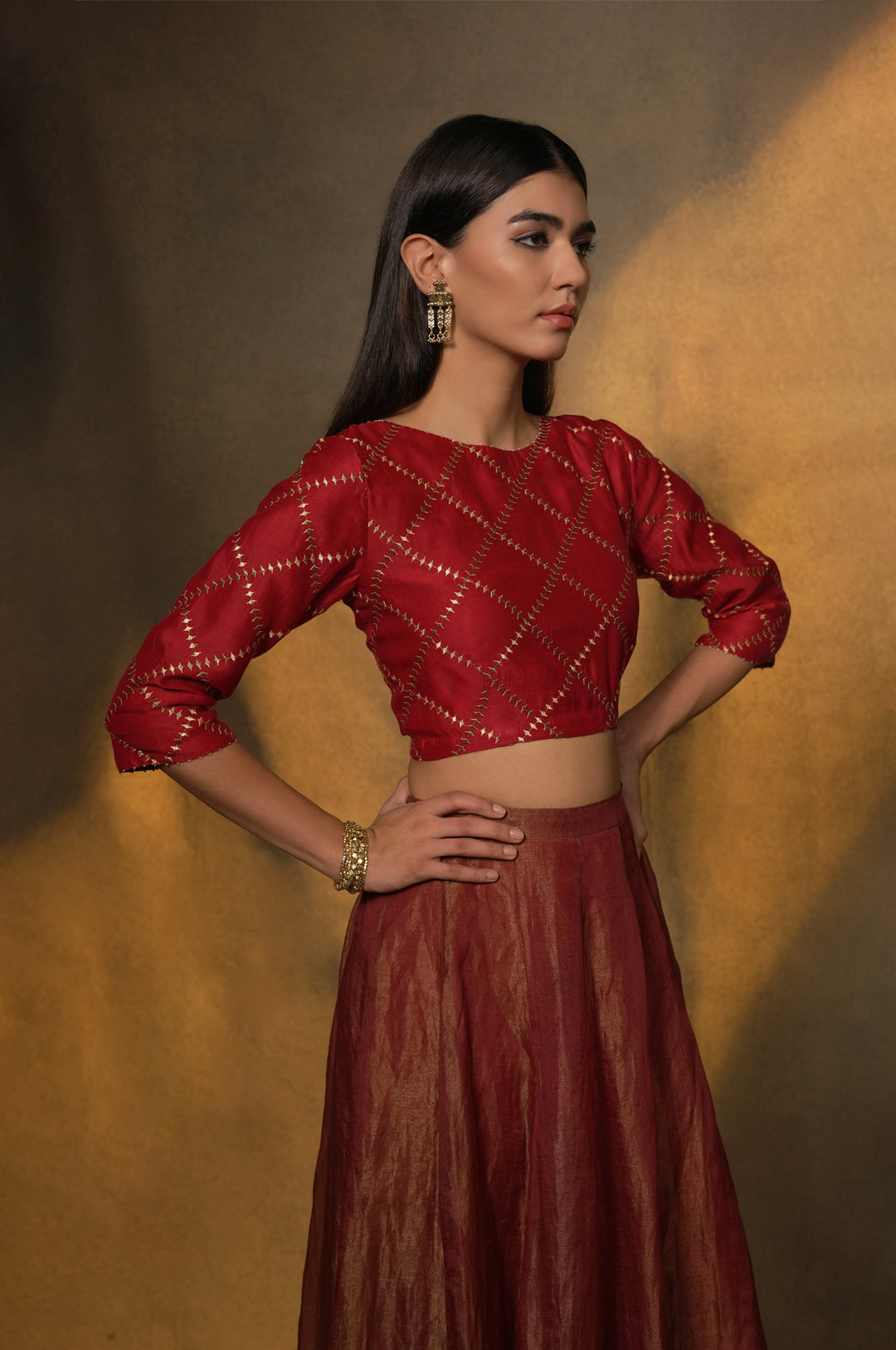 Maroon Embroidered Tissue Lehenga with Chanderi Blouse & Organza Dupatta