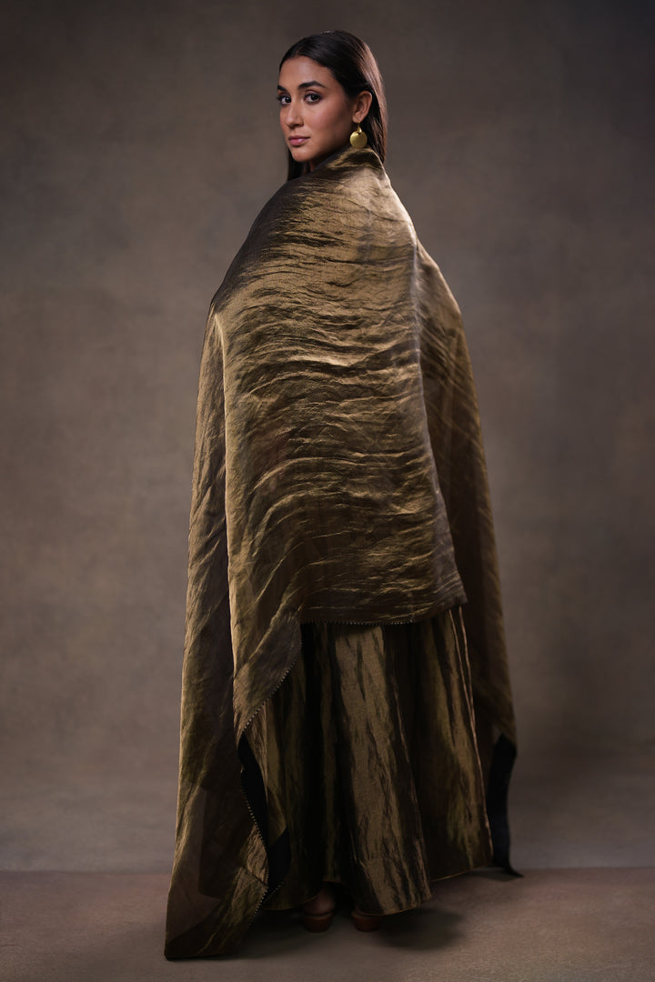 Black Stripe Tissue Blouse with Lehenga and Dupatta