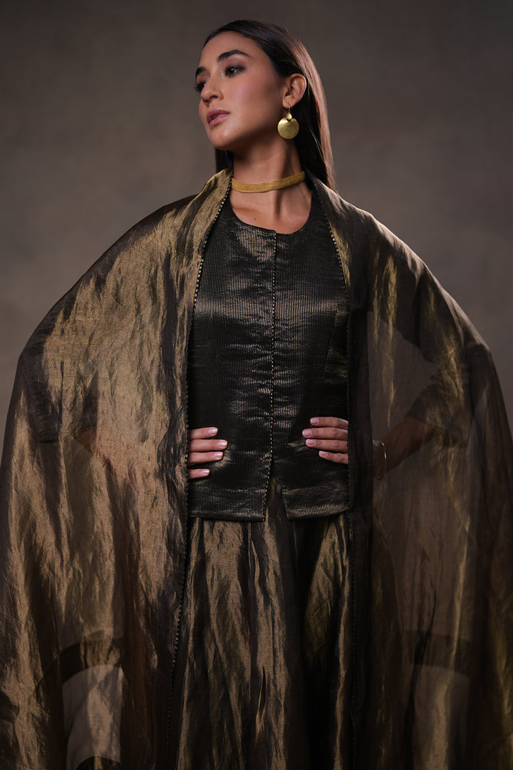 Black Stripe Tissue Blouse with Lehenga and Dupatta