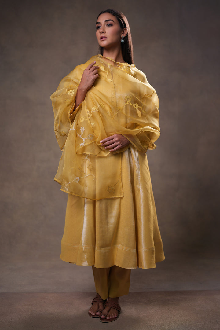 Yellow Hand Embroidered Organza Dupatta