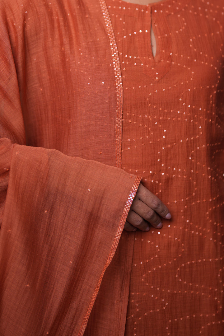 Rust Hand Embroidered Chanderi Kurta