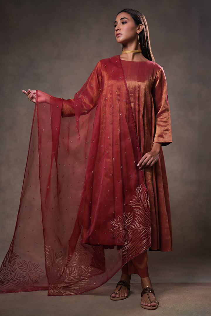 Maroon Hand Embroidered Organza Dupatta