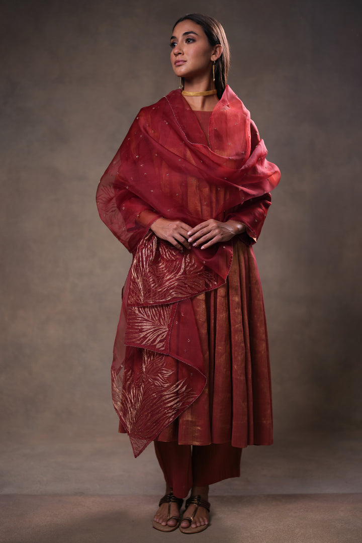 Maroon Tissue Kurta with Pants and Hand Embroidered Dupatta