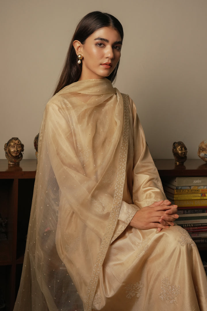 Beige Hand Embroidered Silk Kurta with Pants and Organza Dupatta