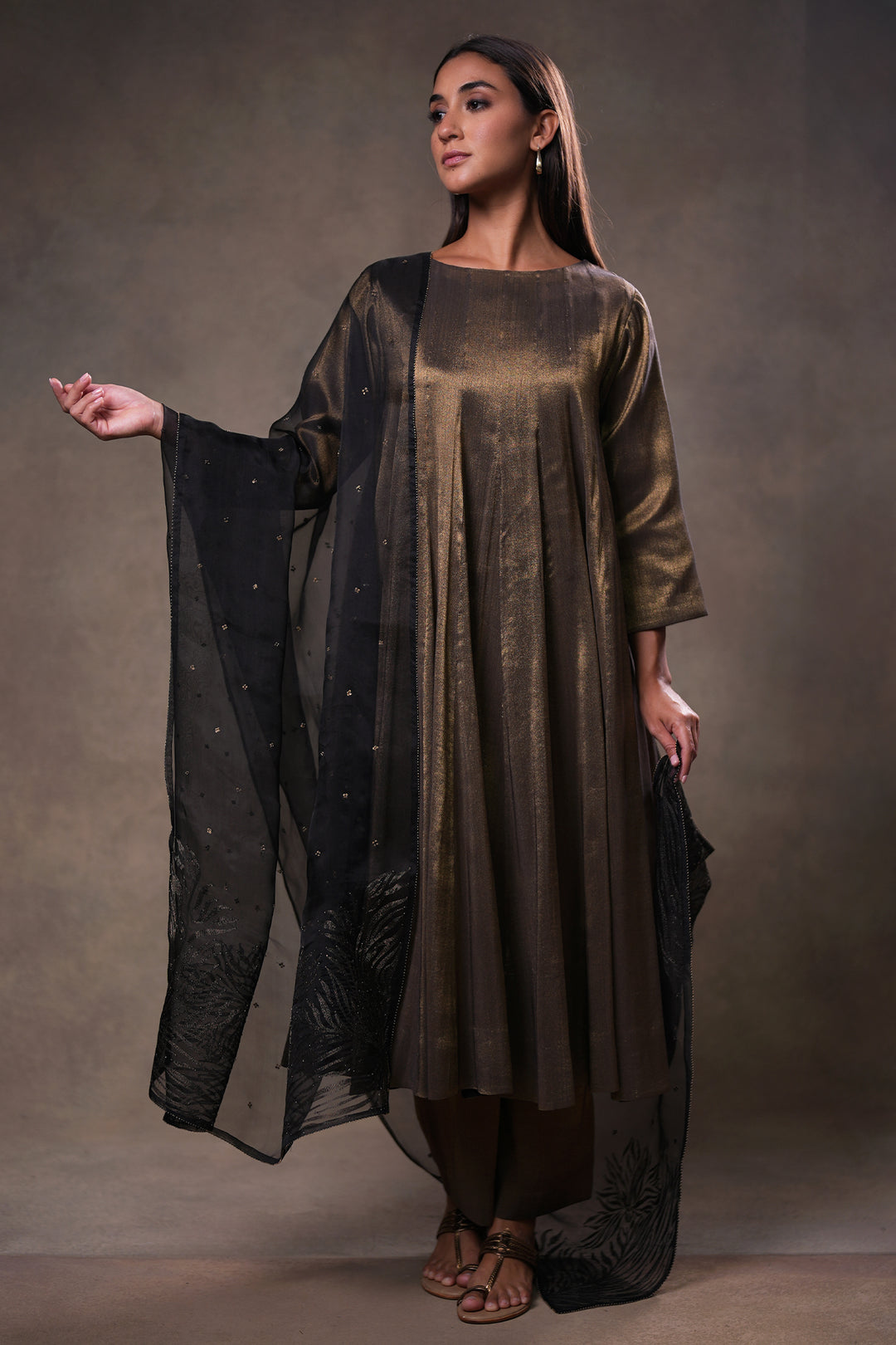 Black Hand Embroidered Organza Dupatta