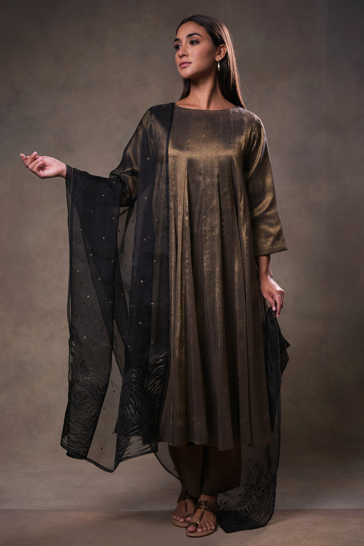 Black Hand Embroidered Organza Dupatta