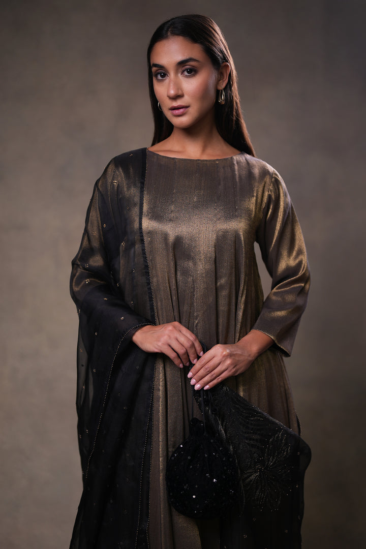 Black Hand Embroidered Organza Dupatta