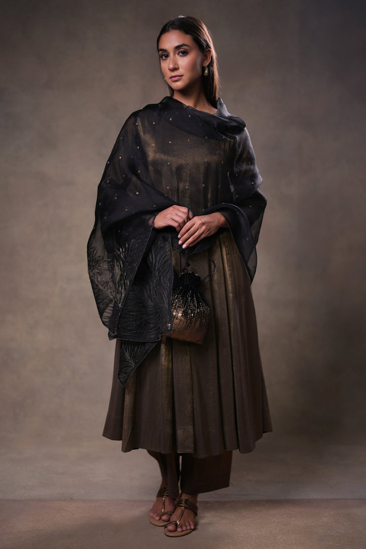 Black Hand Embroidered Organza Dupatta