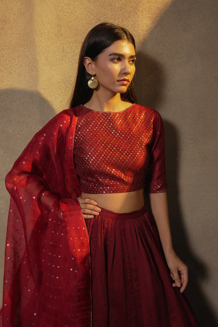 Maroon Hand Embroidered Chanderi Blouse