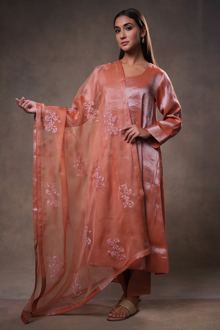 Rust Embroidered Organza Dupatta