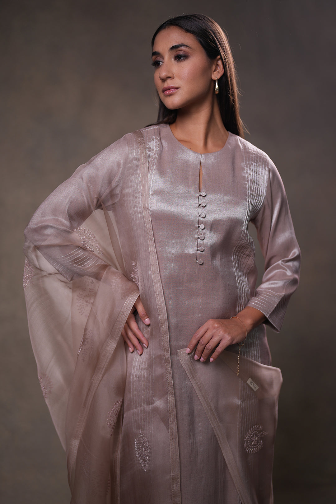 Beige Embroidered Organza Dupatta