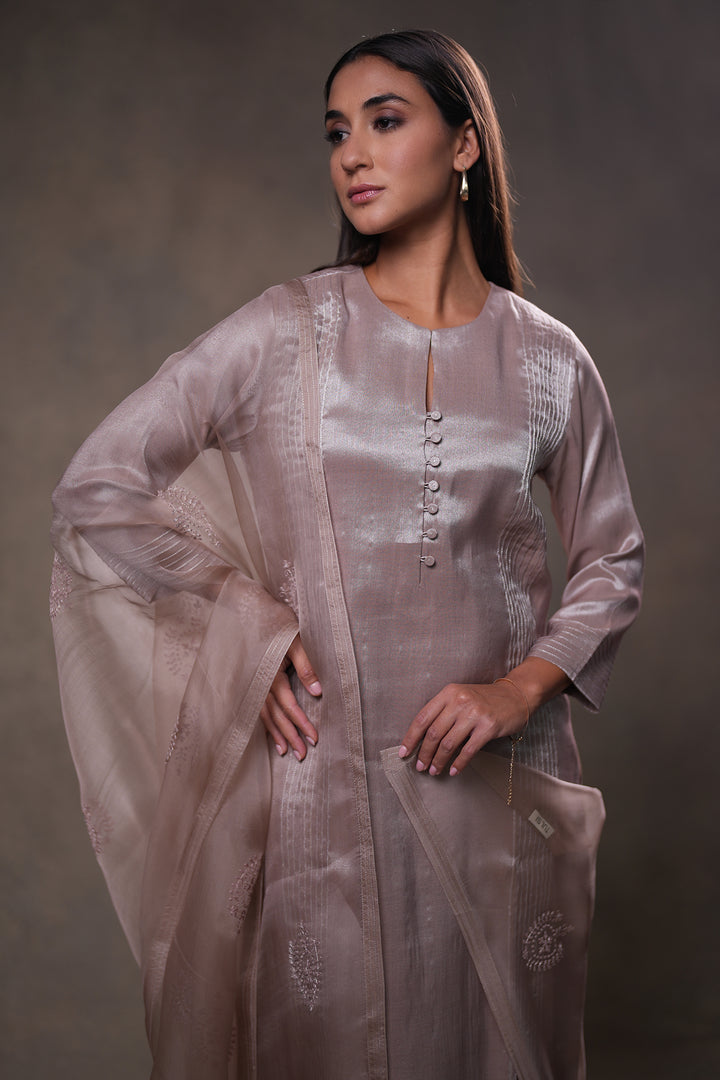 Beige Embroidered Organza Dupatta