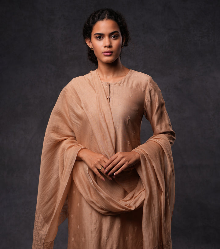 Beige Embroidered Cotton Silk Kurta Set