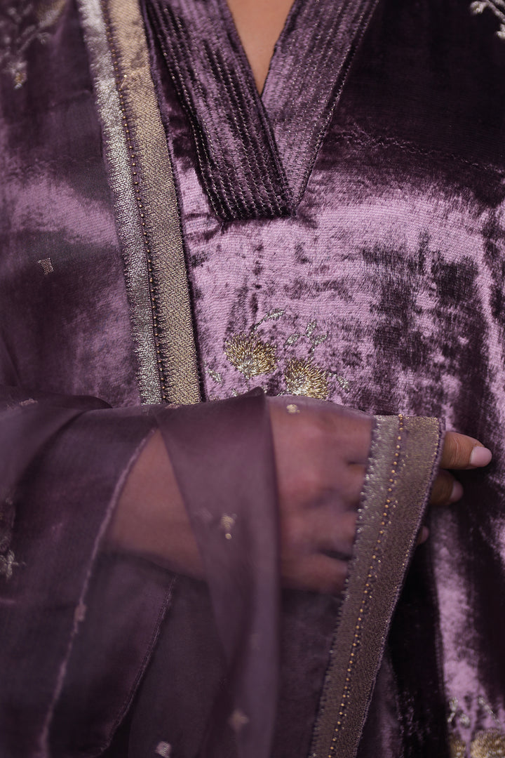 Plum Hand Embroidered Organza Dupatta