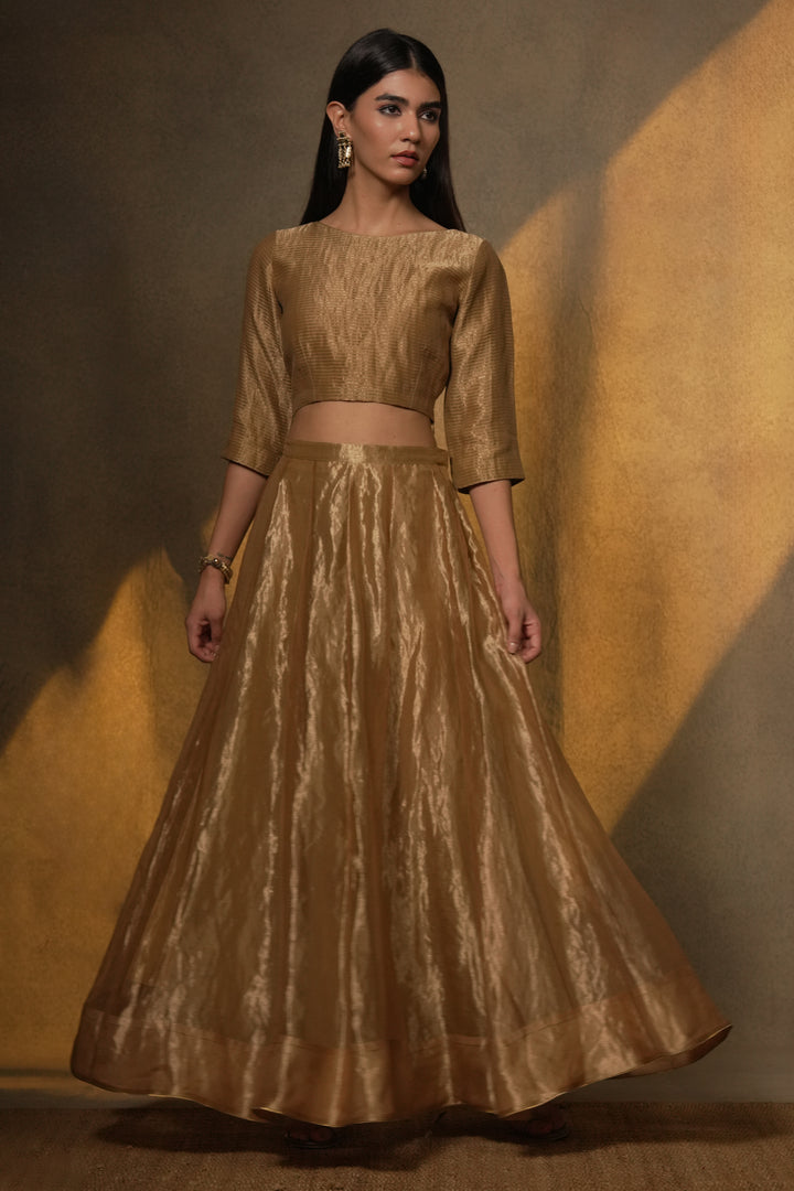 Golden Tissue Skirt