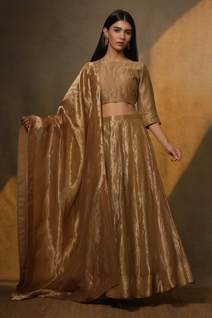 Golden Tissue Dupatta