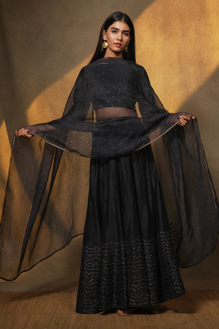 Navy Hand Embroidered Organza Dupatta