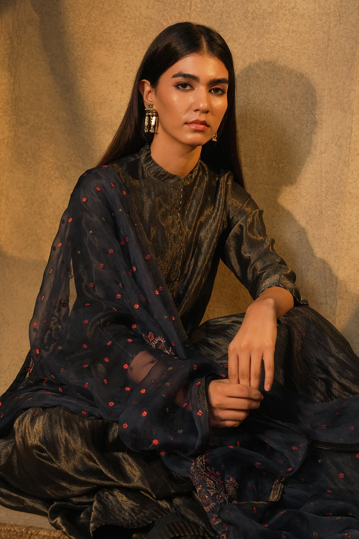 Navy Hand Embroidered Tissue Lehenga with Blouse & Organza Dupatta