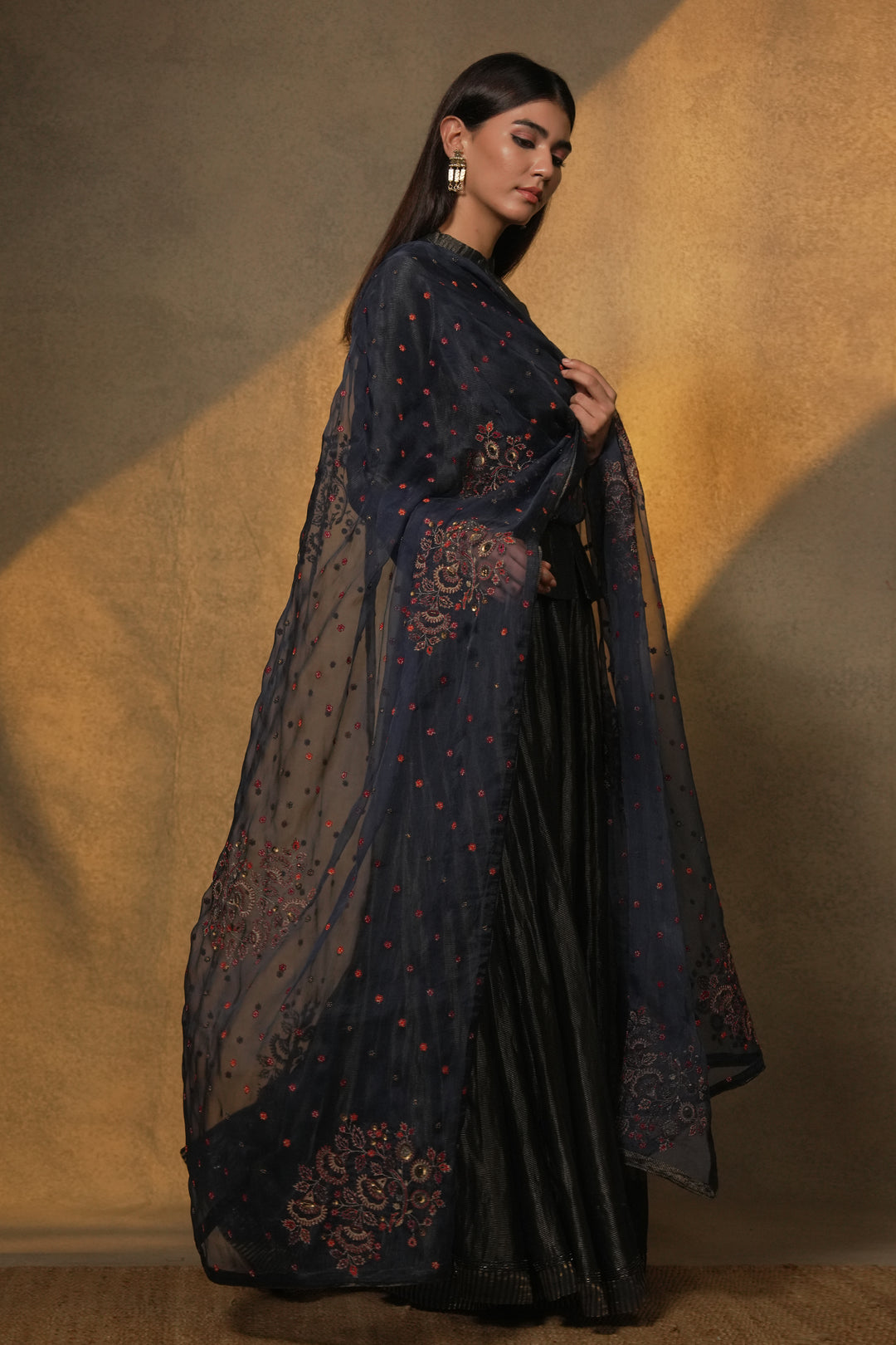 Navy Hand Embroidered Tissue Lehenga with Blouse & Organza Dupatta