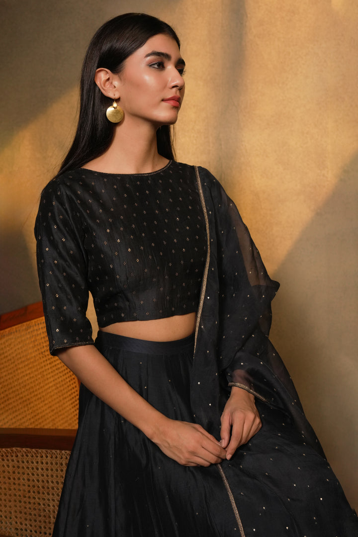 Navy Hand Embroidered Organza Dupatta