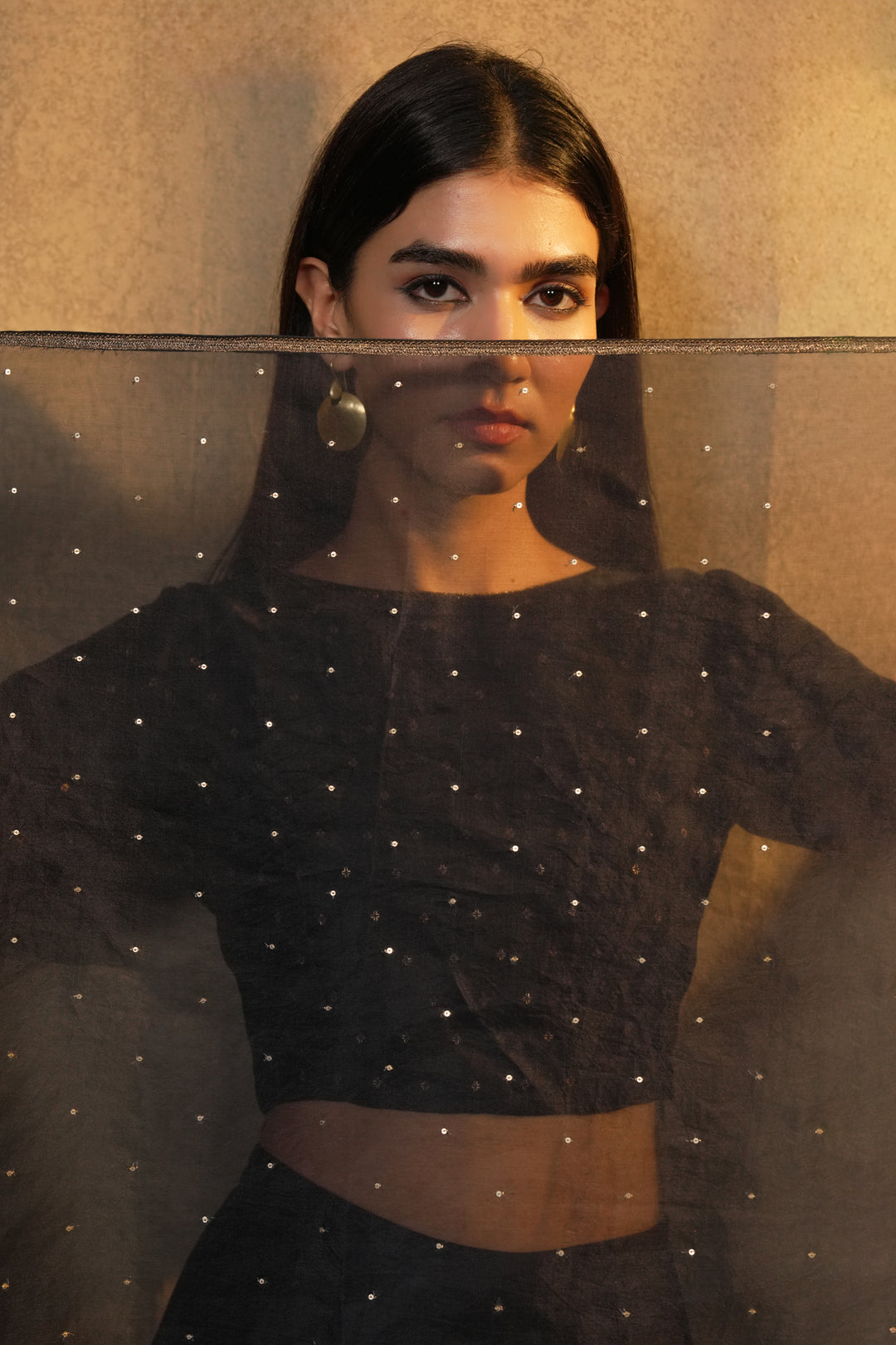 Navy Hand Embroidered Organza Dupatta