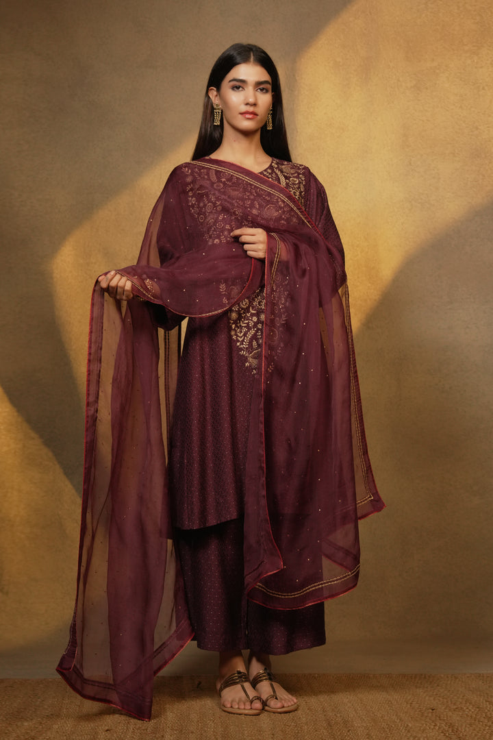 Plum Hand Embroidered Brocade Kurta with Pants and Organza Dupatta