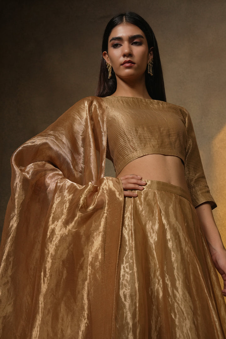 Golden Stripe Tissue Blouse with Lehenga and Dupatta