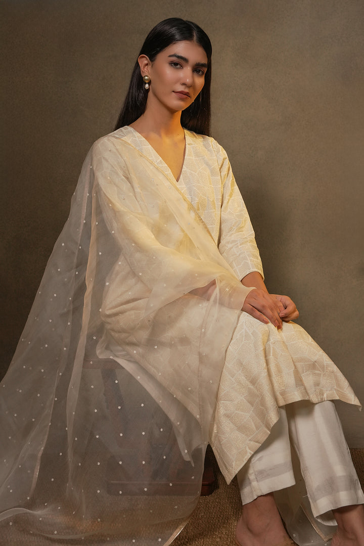Natural Embroidered Cotton Silk Kurta with Dupatta and Pants