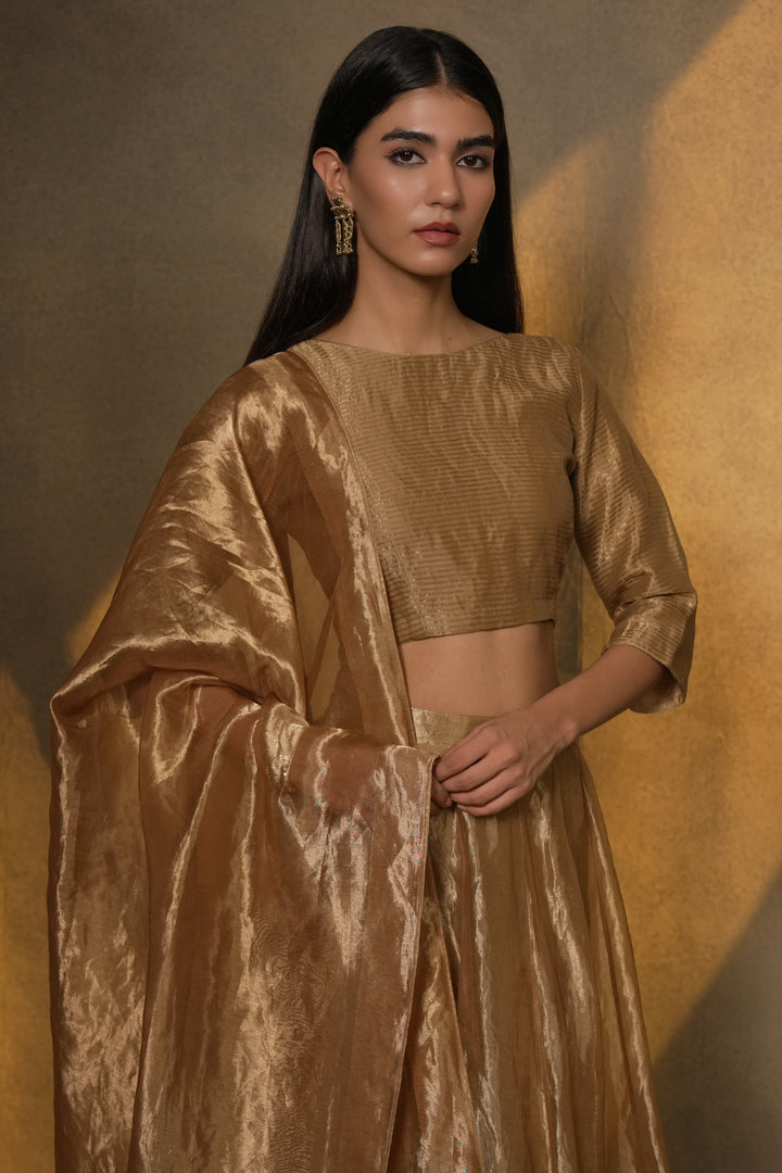 Golden Stripe Tissue Blouse with Lehenga and Dupatta