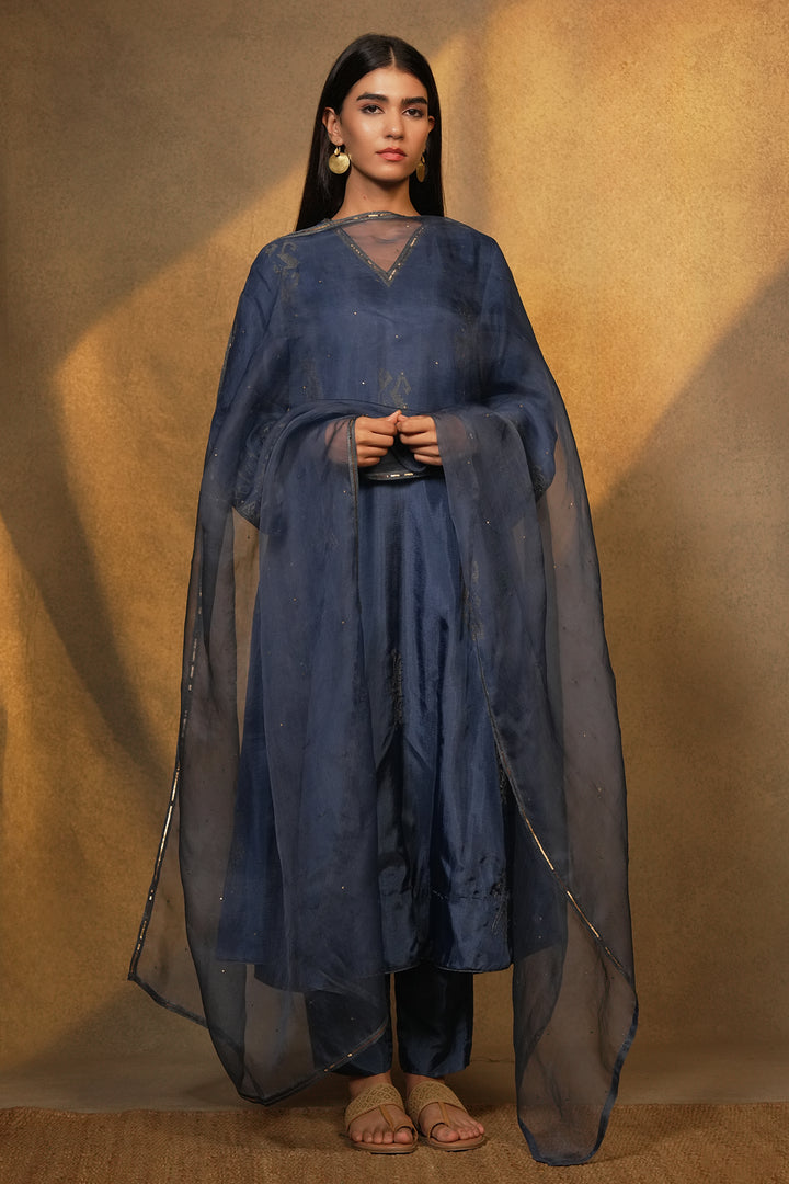 Blue Hand Embroidered Silk Kurta with Pants and Organza Dupatta