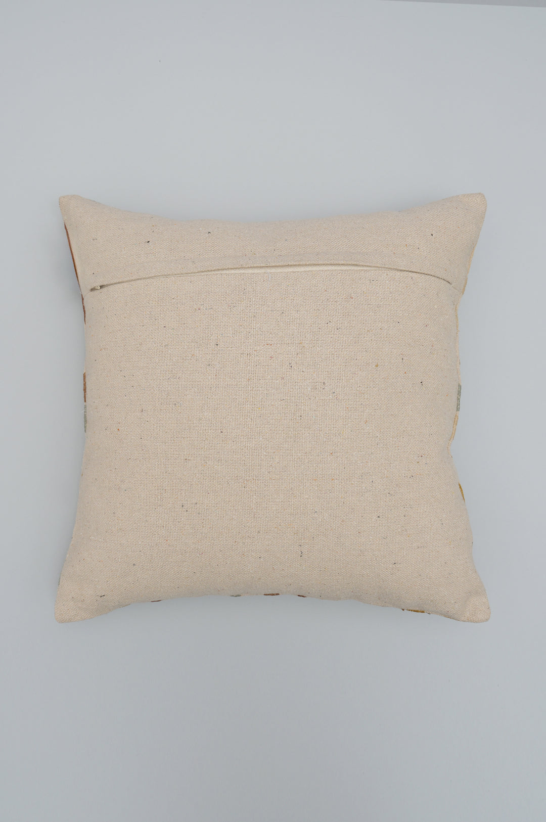 Tropical Parrots Embroidered Cushion Cover