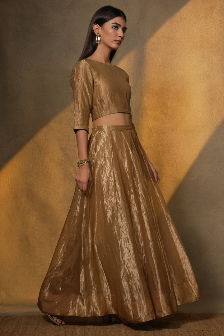 Golden Stripe Tissue Blouse with Lehenga and Dupatta