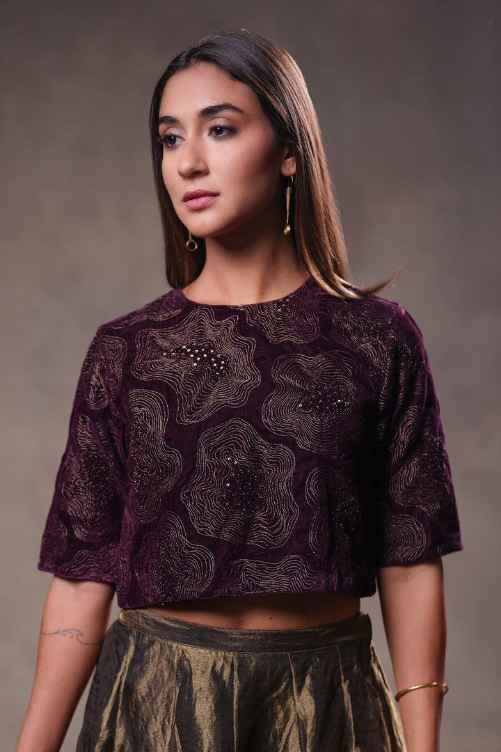 Plum Hand Embroidered Velvet Blouse