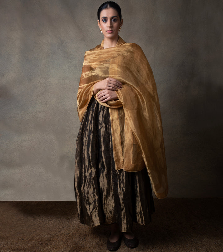 Gold Tissue Dupatta