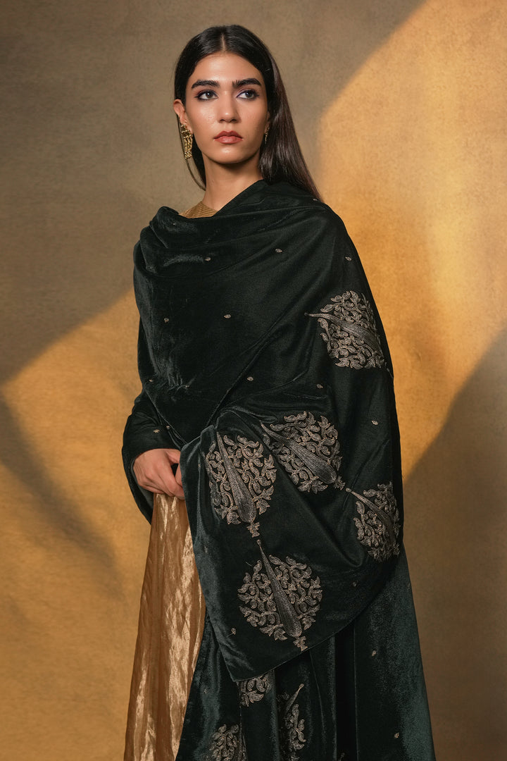 Navy Hand Embroidered Velvet Dupatta