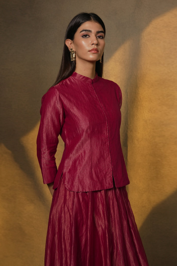 Magenta Pink Hand Embroidered Striped Tissue Skirt